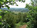 2010-05- (25)